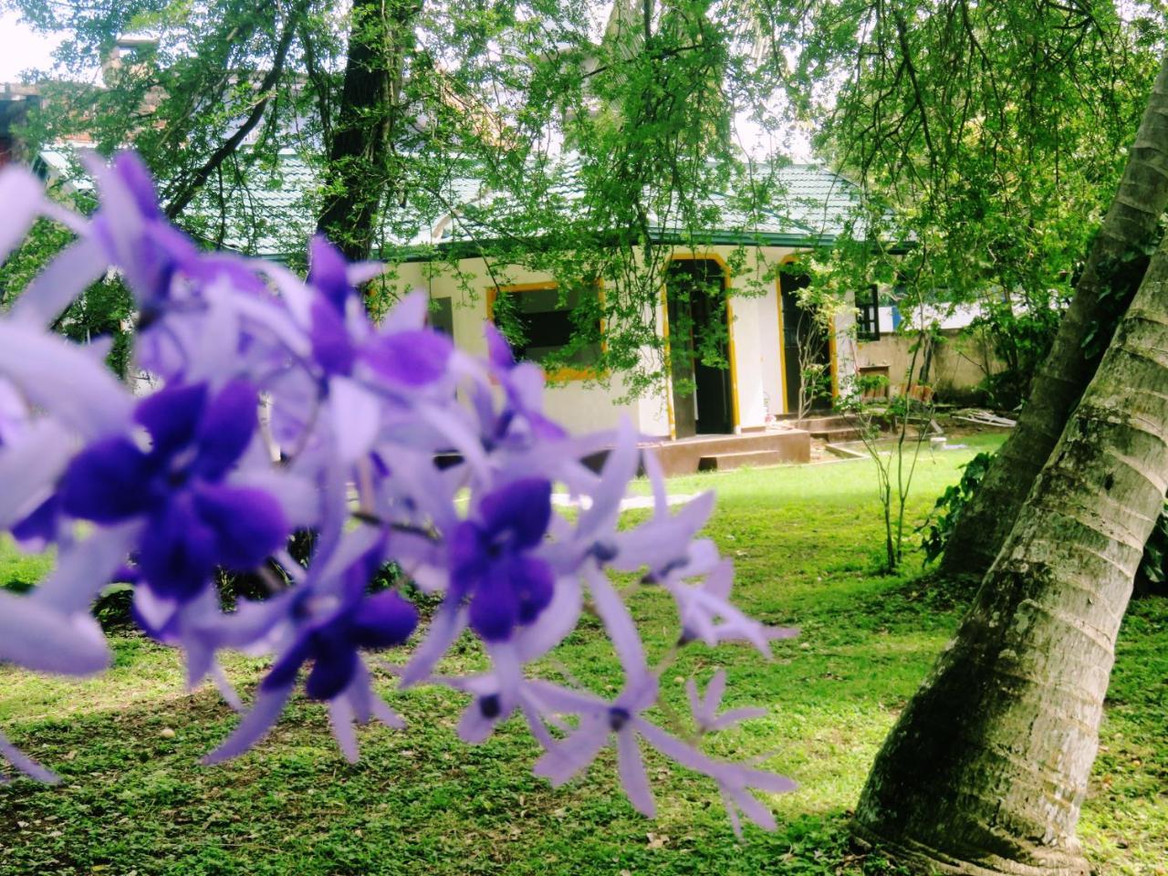 Sea Avenue - Eco Garden Otel Tangalle Dış mekan fotoğraf