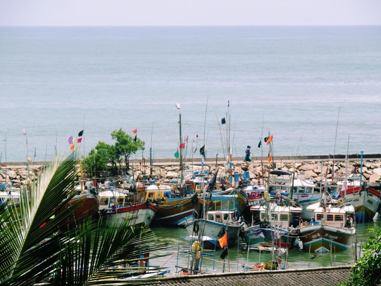 Sea Avenue - Eco Garden Otel Tangalle Dış mekan fotoğraf