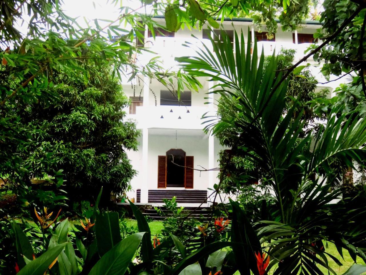 Sea Avenue - Eco Garden Otel Tangalle Dış mekan fotoğraf