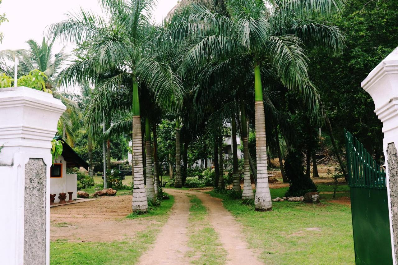 Sea Avenue - Eco Garden Otel Tangalle Dış mekan fotoğraf