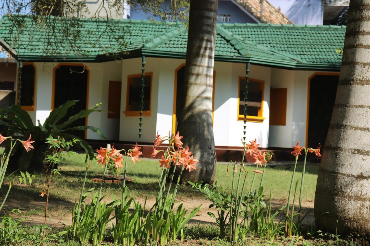 Sea Avenue - Eco Garden Otel Tangalle Dış mekan fotoğraf